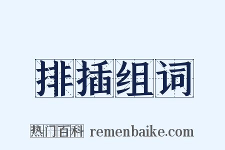 排插组词是什么意思的图片